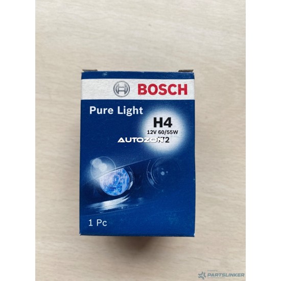 Lampadine BOSCH 1987302041