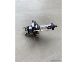 Lampadine BOSCH 1987302041