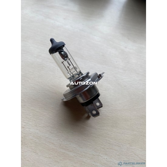 Lampadine BOSCH 1987302041