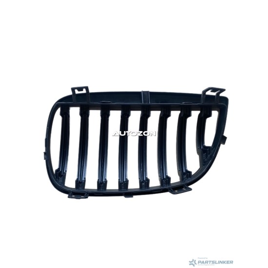 Griglia radiatore BMW 1 (E81) [ 2006 - 2012 ] Diederichs 1280240