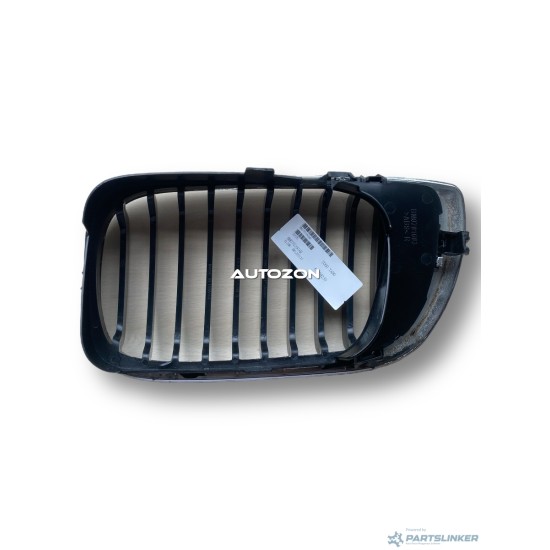 Griglia radiatore destra BMW 3 IV (E46) [ 1998 - 2005 ] Prasco BM0202003