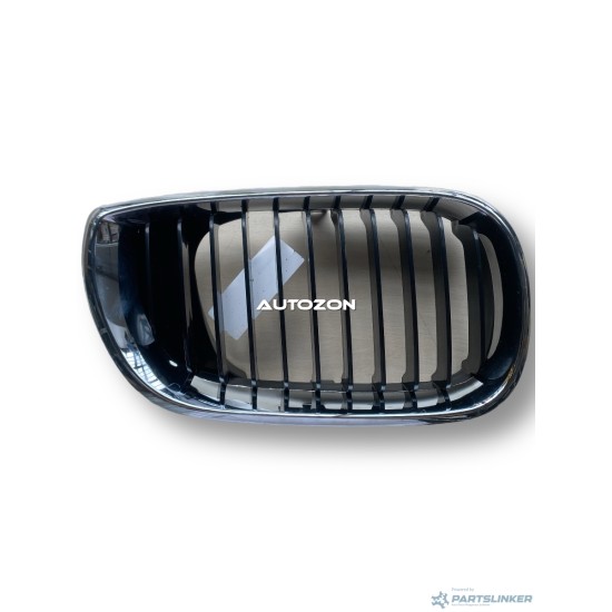 Griglia radiatore destra BMW 3 IV (E46) [ 1998 - 2005 ] Prasco BM0202003